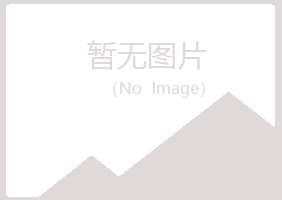 宁夏白山保险有限公司